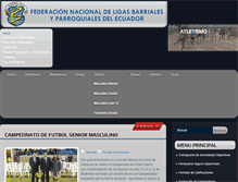 Tablet Screenshot of fedenaligas.org